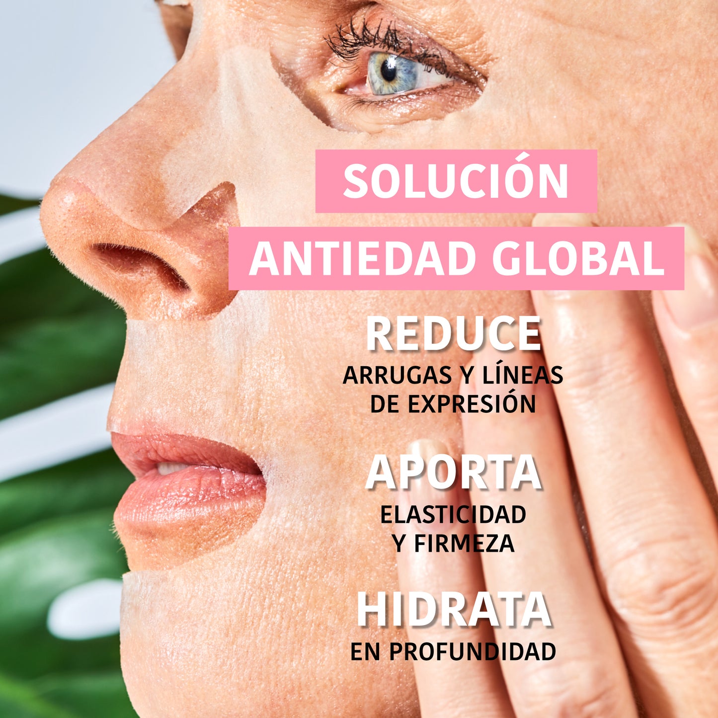 Mascarilla Facial Antiedad Global con Rosa Mosqueta