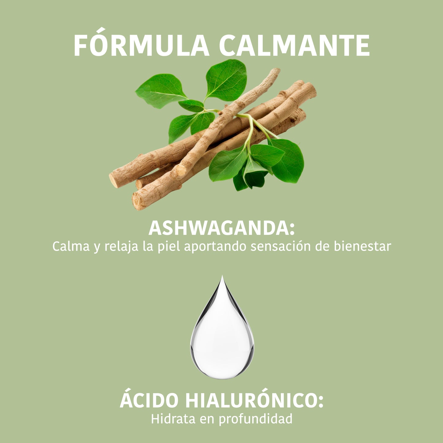Mascarilla MINDFUL RITUAL Calmante con Ashwagandha